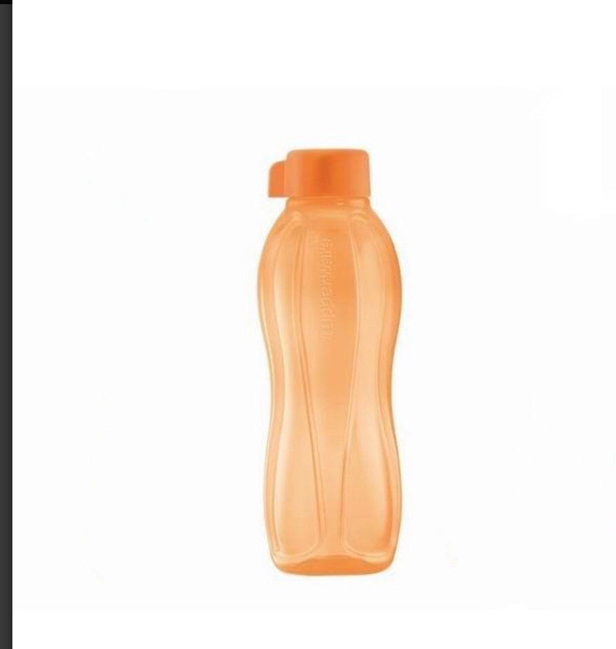 Eco Bottle 500ml - Mango