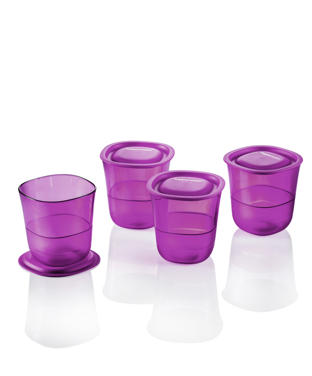 Purple Royale Crystalline Tumblers