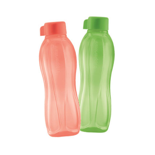 Eco Bottle 500ml - Salmon & Honeydew